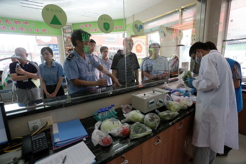 食用农产品抽检全合格，人大代表政协委员现场见证助力零售安全